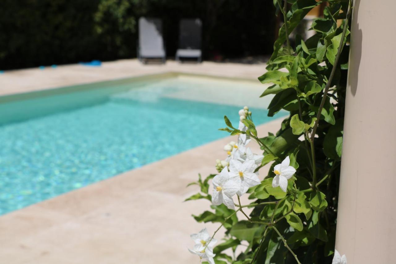 La Villa Des Moulins Calvisson Εξωτερικό φωτογραφία