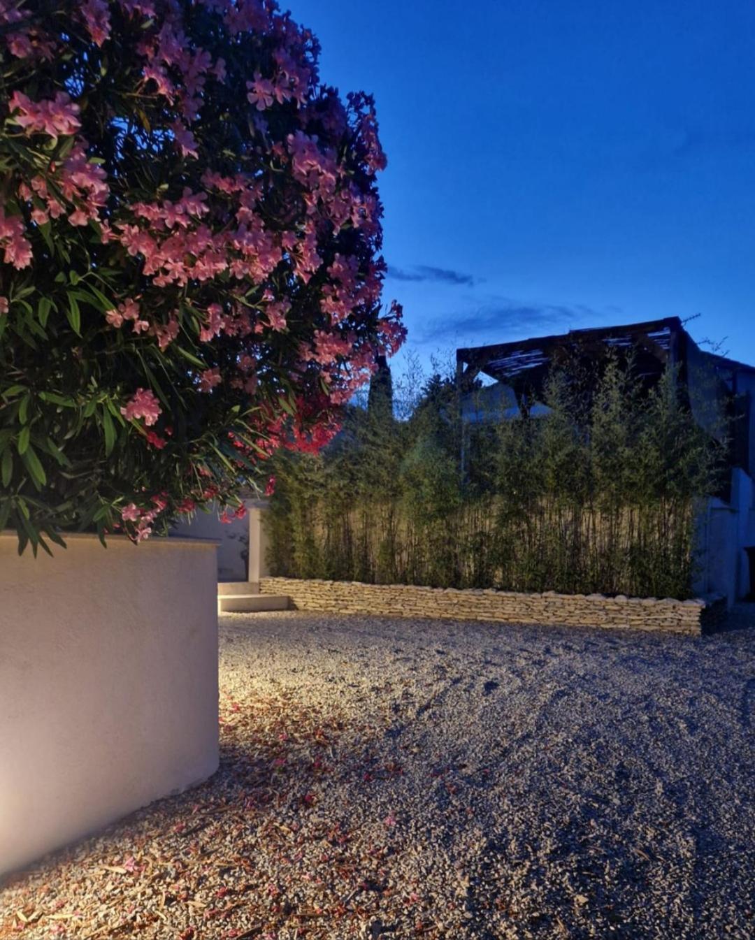 La Villa Des Moulins Calvisson Εξωτερικό φωτογραφία